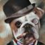 Aleks Grey