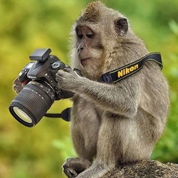 Дмитрий Белоусов