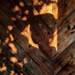 Алёна Кореневская