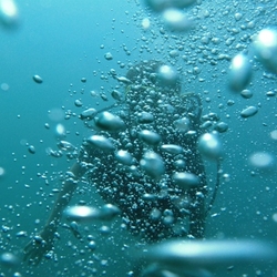 Максим Воробьев