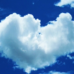 Наталья Рогова