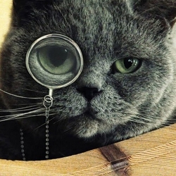 Петя Кузьмин