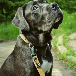 Кирилл Бугаенко