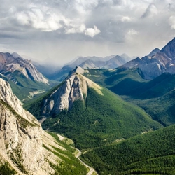 Олексій Тарасенко