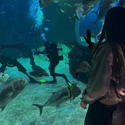 Любовь любовная