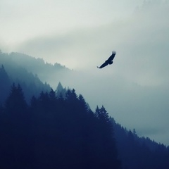 Сергей Сергеев