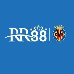 rr88accountant