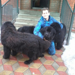 Антон Инкелес