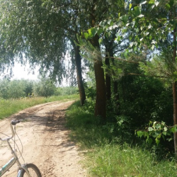 Алеся Аврамчук