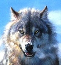 Иван Мортон