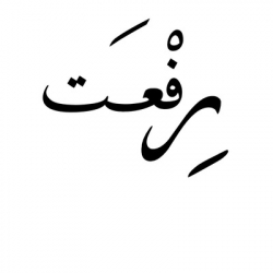 Рифат Шарапов