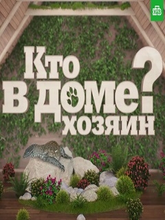Кто в Доме хозяин?