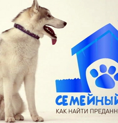 Семейный пес