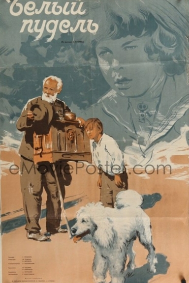 Белый пудель