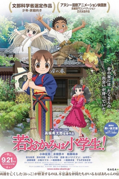 Гостиница Окко