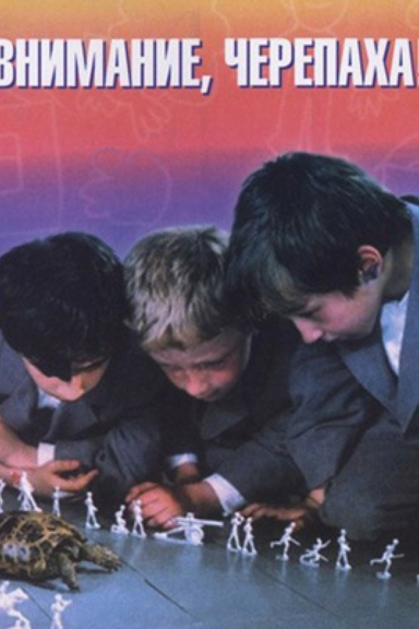 Внимание, черепаха!