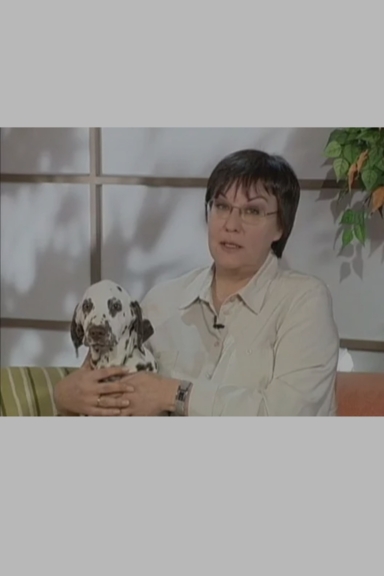 Друзья моего хозяина