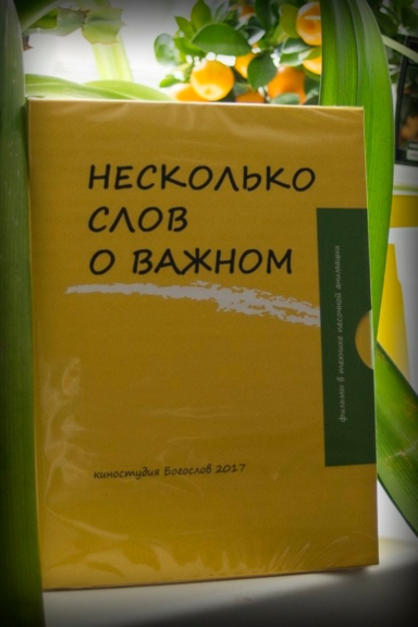 Несколько слов о важном