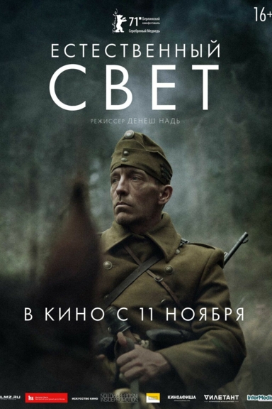 Естественный свет