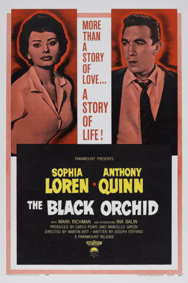 Чёрная орхидея