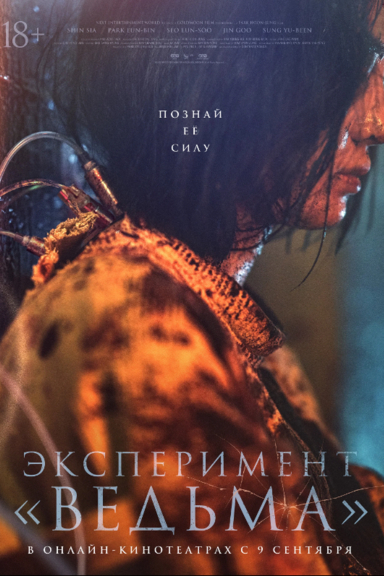 Эксперимент «Ведьма»