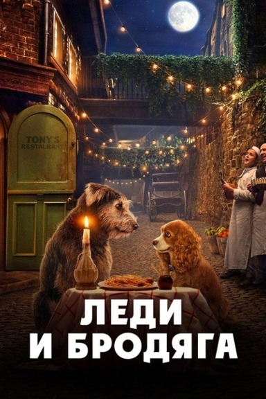 Леди и Бродяга