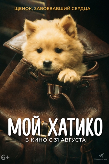 Мой Хатико