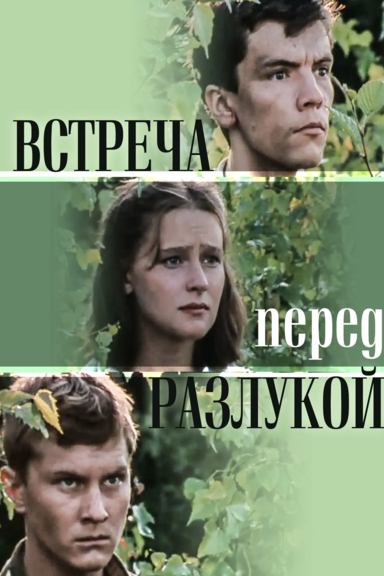 Встреча перед разлукой