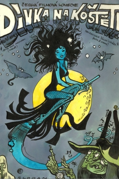 Девушка на метле