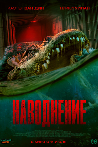 Наводнение