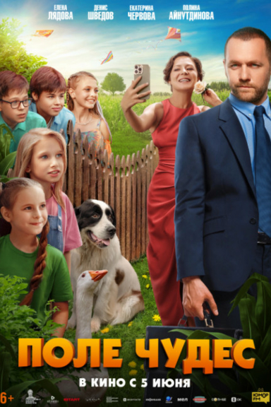 Поле чудес