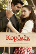 Королёк — птичка певчая