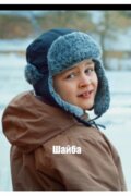 Шайба