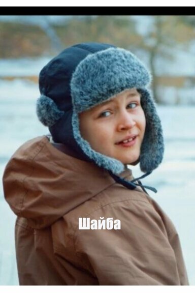 Шайба