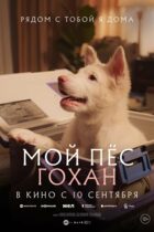 Мой пёс Гохан