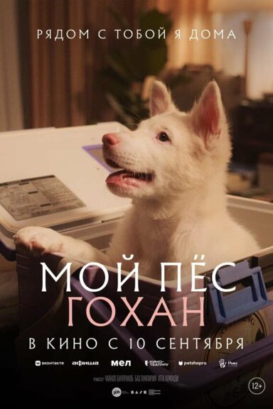 Мой пёс Гохан