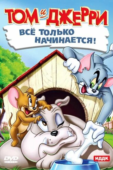 Кот играет в боулинг