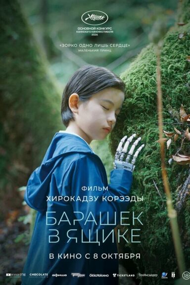 Барашек в ящике