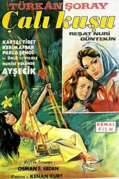 Королек – птичка певчая