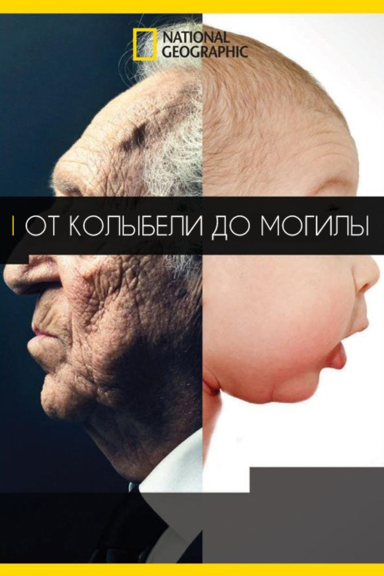 От колыбели до могилы