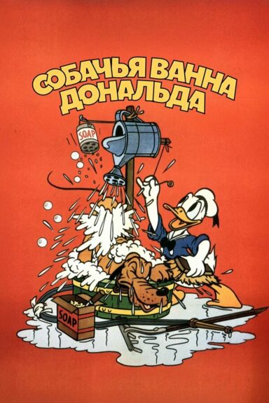 Собачья ванна Дональда