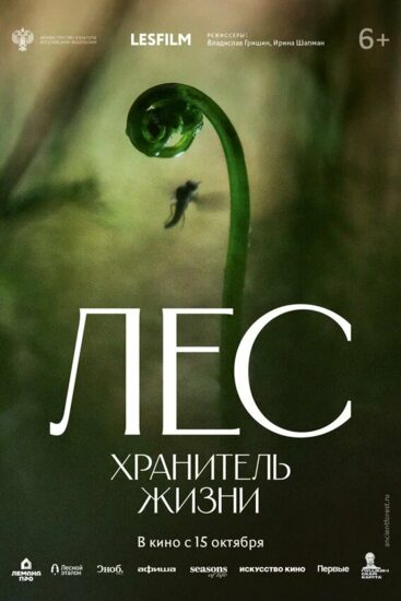 Лес. Хранитель жизни