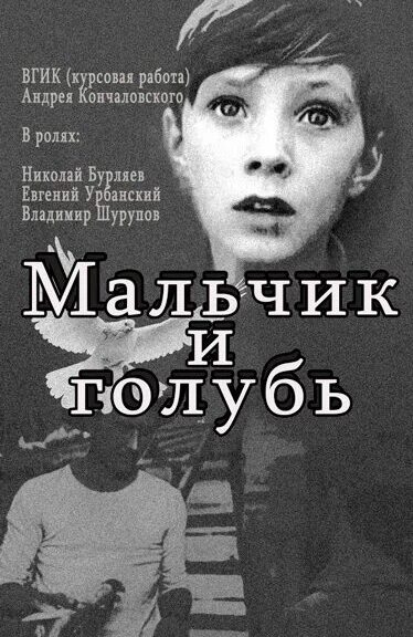 Мальчик и голубь