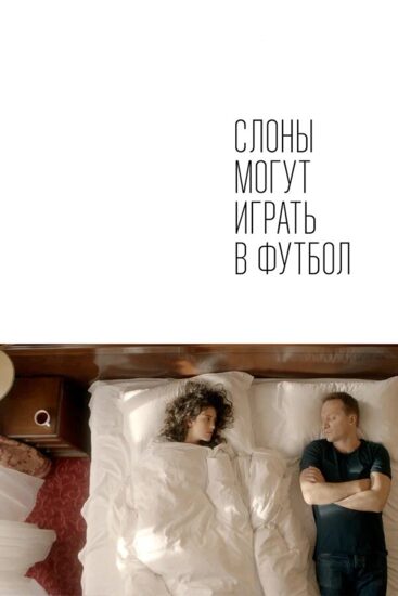 Слоны могут играть в футбол